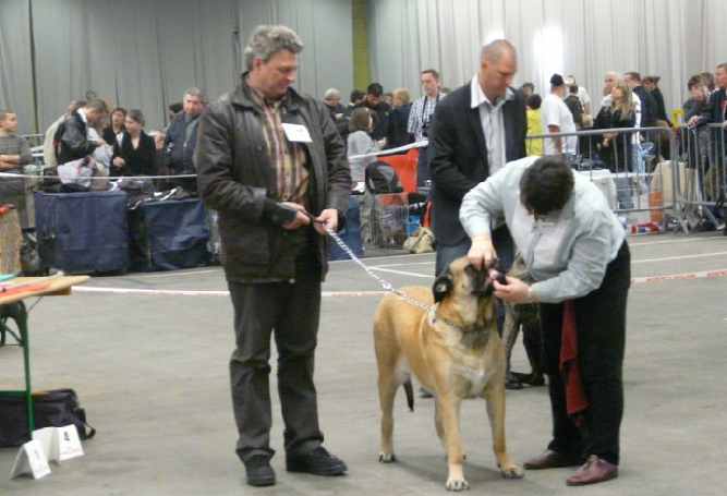 Publication : De La Maison De L'étoile