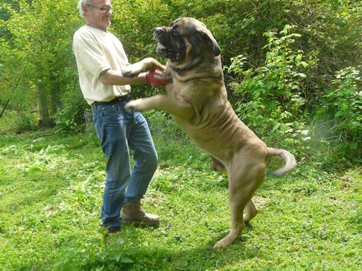 Publication : De La Maison De L'étoile