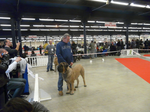 Publication : De La Maison De L'étoile