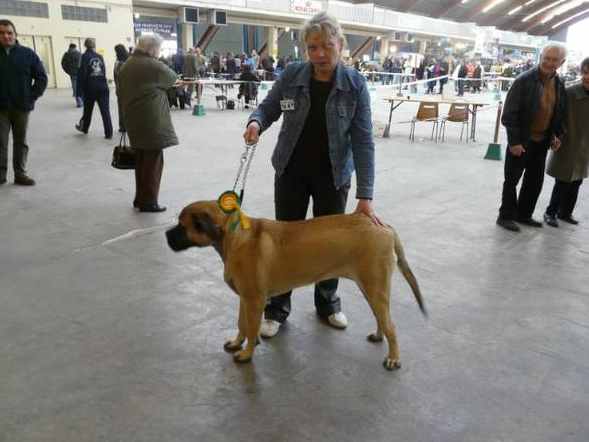 Publication : De La Maison De L'étoile