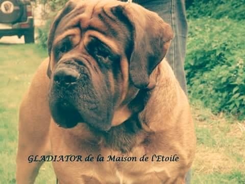 Publication : De La Maison De L'étoile Auteur : BEATA