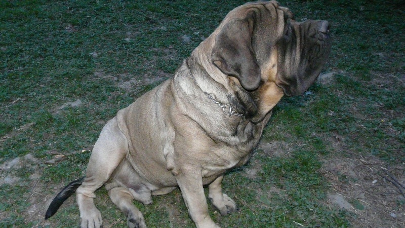 Publication : De La Maison De L'étoile