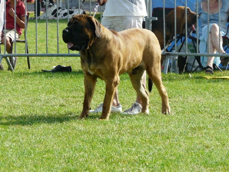 Publication : De La Maison De L'étoile Auteur : BEATA