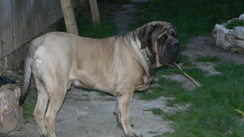 Publication : De La Maison De L'étoile