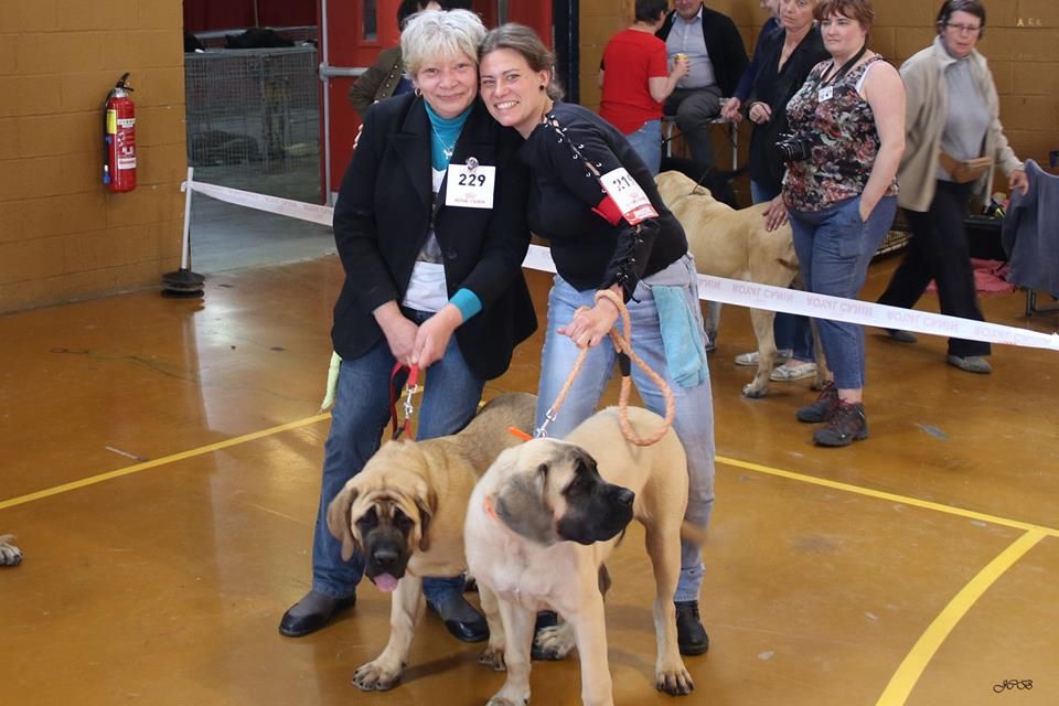 Moonlight De La Maison De L'étoile - 1er TRES PROMETTEUR cl.baby femelles