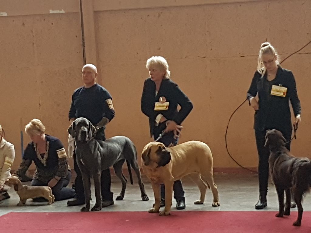 Moonlight De La Maison De L'étoile - 1er EXC MEILLEUR JEUNE