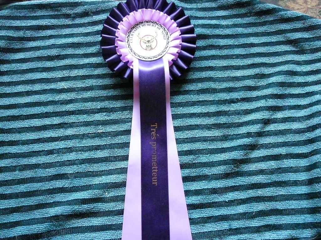 Moonlight De La Maison De L'étoile - 1er TRES PROMETTEUR