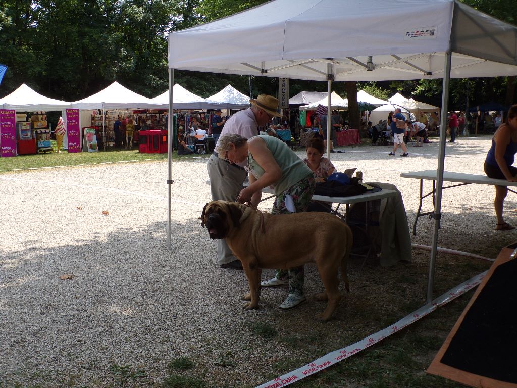 Moonlight De La Maison De L'étoile - 1ER EXC. cl.interm