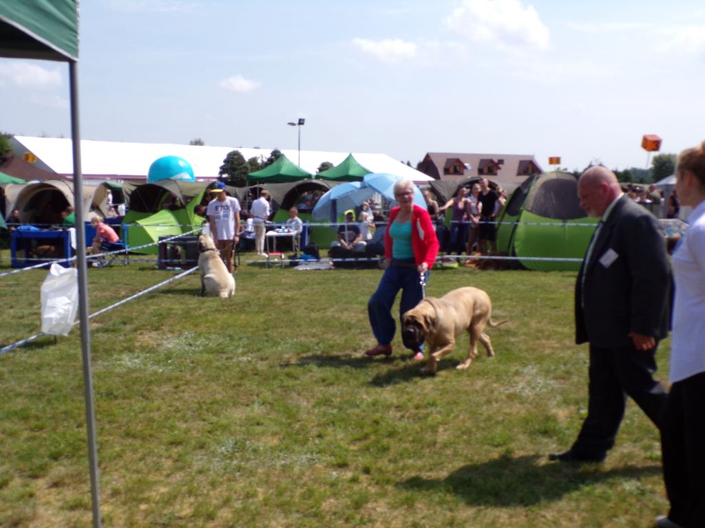 Moonlight De La Maison De L'étoile - 2 em EXC cl.jeunes