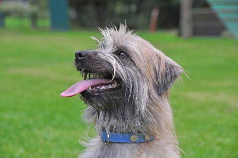 Publication : Von Der Happy Horse Farm