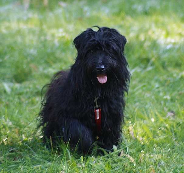 Publication : Von Der Happy Horse Farm