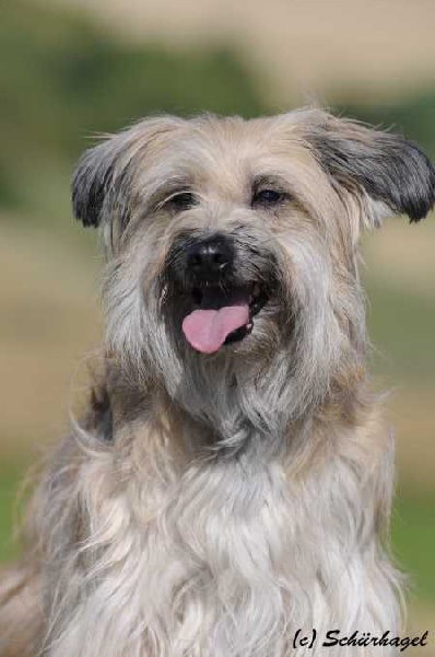 Publication : Von Der Happy Horse Farm