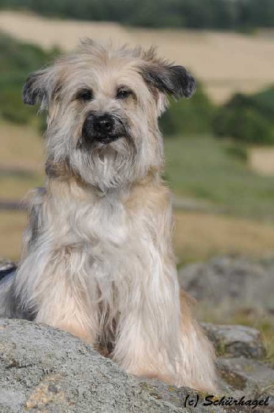 Publication : Von Der Happy Horse Farm