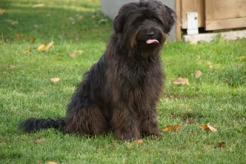 Publication : Von Der Happy Horse Farm