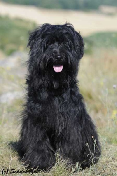 Publication : Von Der Happy Horse Farm