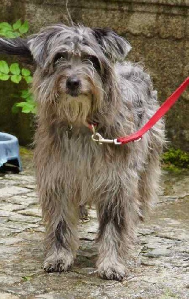 Publication : Von Der Happy Horse Farm