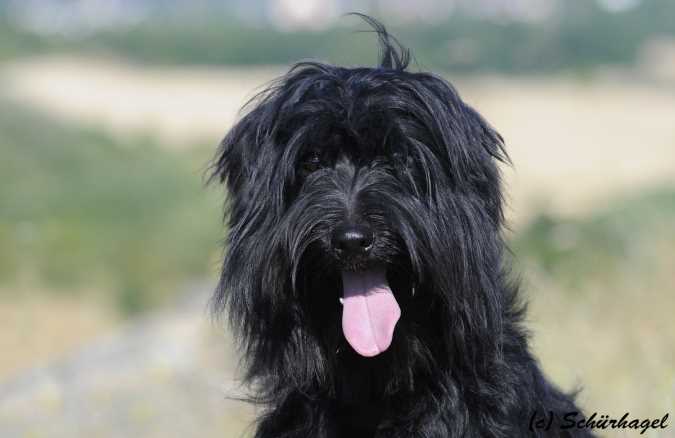 Publication : Von Der Happy Horse Farm