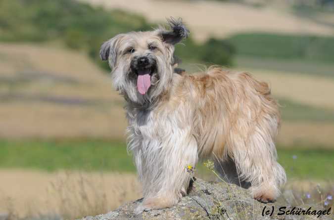 Publication : Von Der Happy Horse Farm