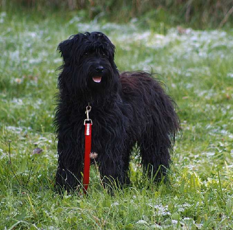 Publication : Von Der Happy Horse Farm