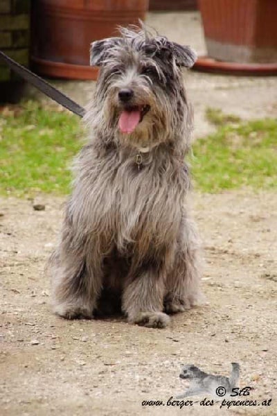 Publication : Von Der Happy Horse Farm