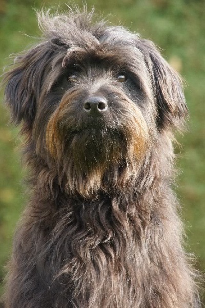 Publication : Von Der Happy Horse Farm