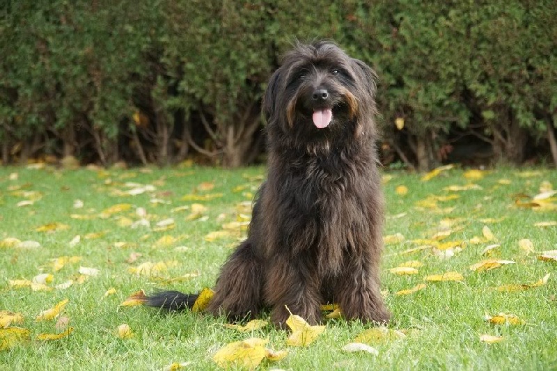 Publication : Von Der Happy Horse Farm