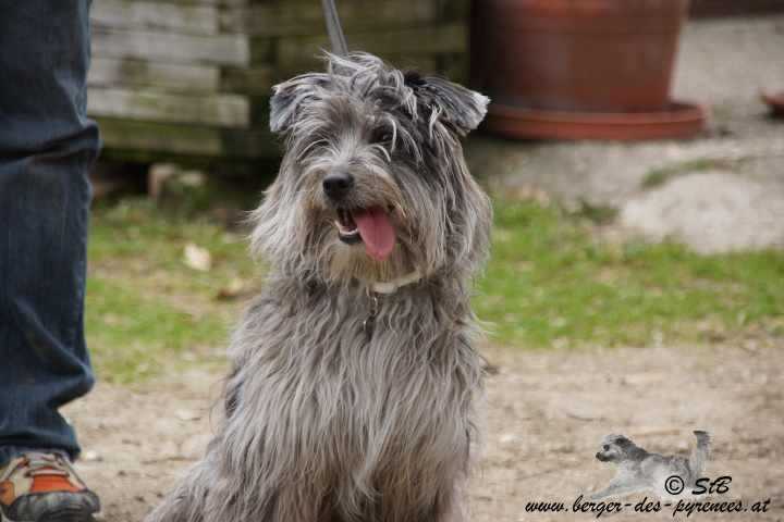 Publication : Von Der Happy Horse Farm