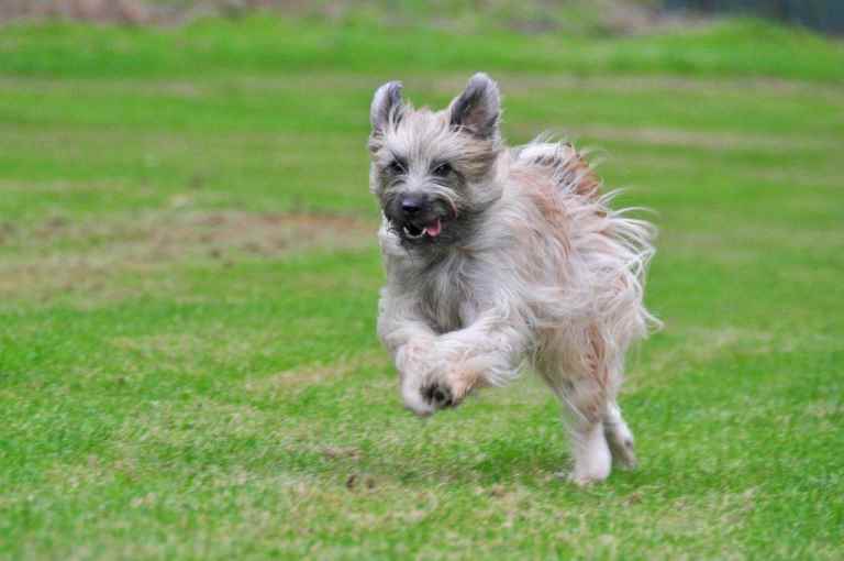 Publication : Von Der Happy Horse Farm