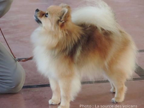 Publication : Des Rêves éternels