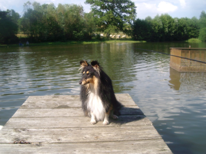 Harry mage ( dit jim ) Du Val Des Delices De Chimene