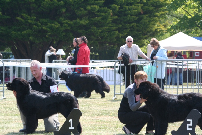 Eternelle amour des princes de la mer - 1ème TP en CPF