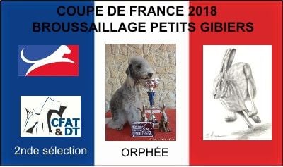 CH. Irna orphée vom orkelsfelsen