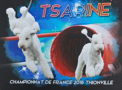 CH. isotop's Famous icon dite tsarine
