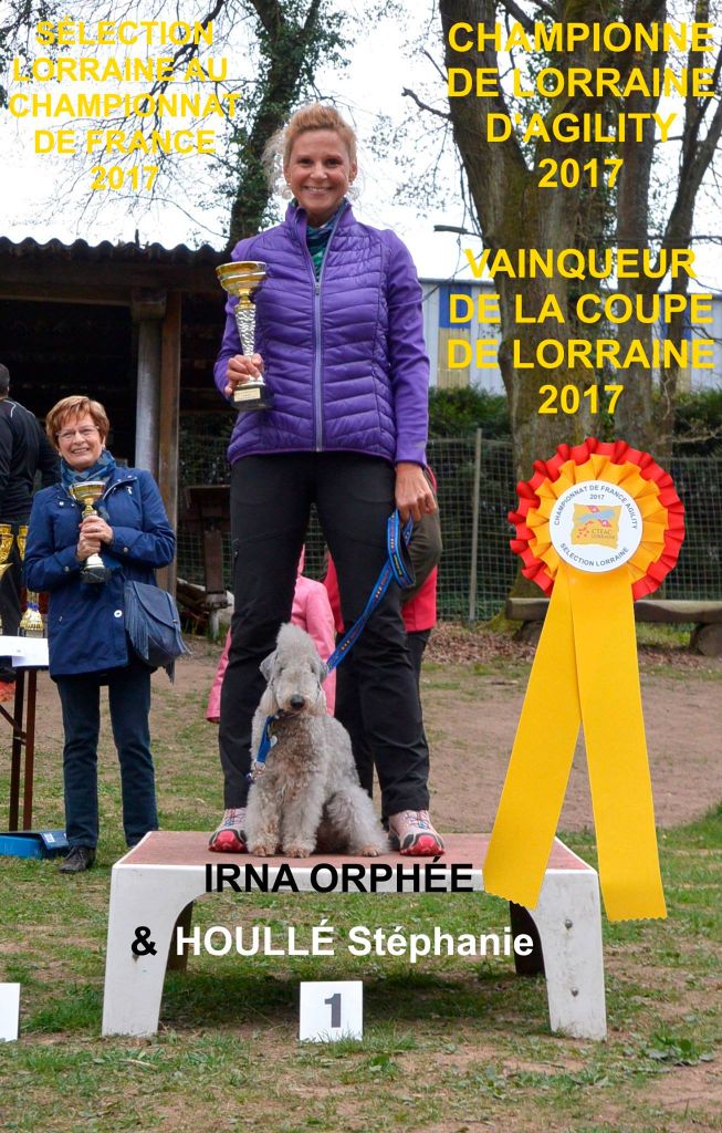 CH. Irna orphée vom orkelsfelsen
