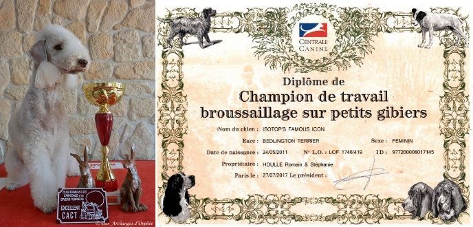 CH. isotop's Famous icon dite tsarine