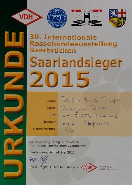 CH. toolbox Super trouper dite olga - 1ère excellent en classe Champion, CAC, CACIB, Saarland Sieger et BOB