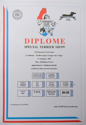 CH. toolbox Super trouper dite olga - Excellent RCACL