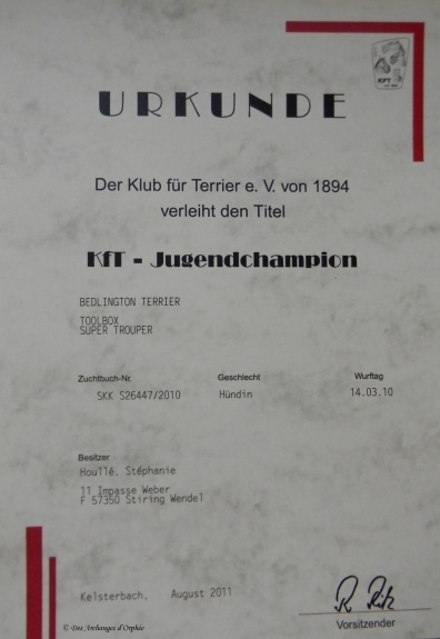 CH. toolbox Super trouper dite olga - Championne d'Allemagne Jeune du club de race KfT.