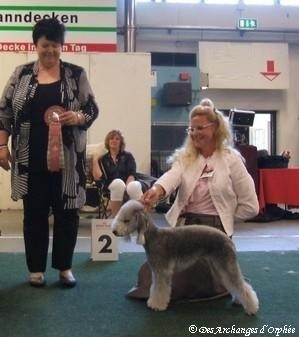 CH. toolbox Super trouper dite olga - BOB & Championne de Sarrebrück