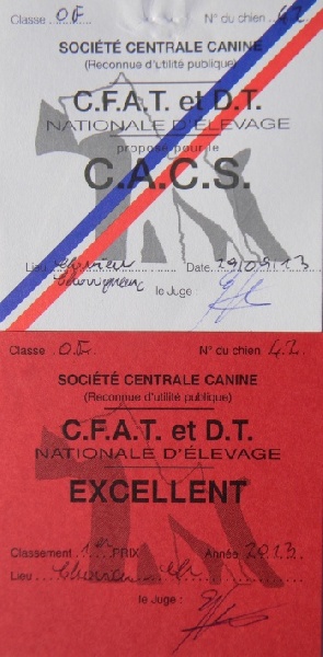 CH. toolbox Super trouper dite olga - 1ère Excellent - CACS et Championne de France.