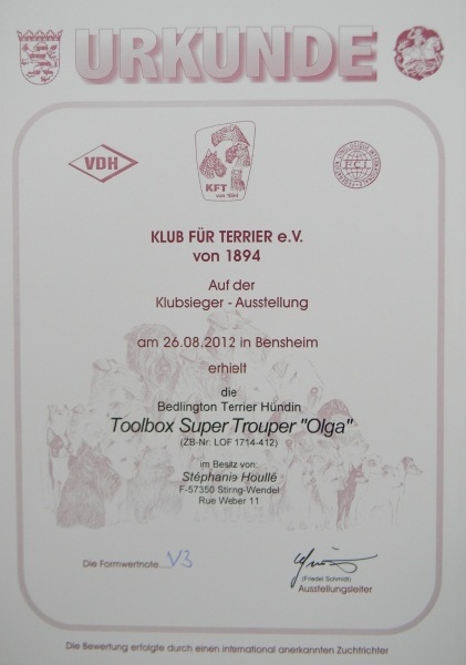 CH. toolbox Super trouper dite olga - Excellent 3 en classe Champion.