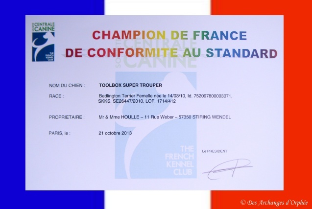 CH. toolbox Super trouper dite olga - Championne de France.