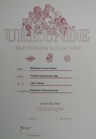 CH. toolbox Super trouper dite olga - 1ère Excellent en classe Champion, CAC KfT+ VDH, BOB /Meilleure et "KlubSieger"