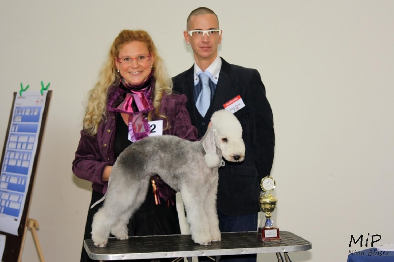 CH. toolbox Super trouper dite olga - Rheinlandjugendsiegerin/CH. de Rhénanie Jeune