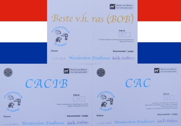 CH. toolbox Super trouper dite olga - 1ère Excellent en classe Champion, CAC, CACIB & BOB /Meilleure de race.