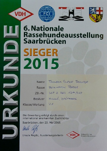 CH. toolbox Super trouper dite olga - 1ère excellent en classe Champion, CAC KfT et VDH, Saarbrücken Sieger et BOB