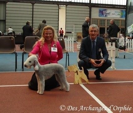 CH. toolbox Super trouper dite olga - 1ère Exc, meilleure femelle Champion, 2nde meilleure paire avec Jaslane