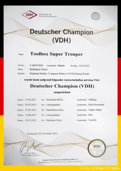 CH. toolbox Super trouper dite olga - Championne d'Allemagne (VDH).