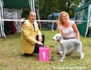 CH. toolbox Super trouper dite olga - BOB + CAC Junior VDH/KfT.