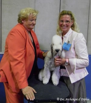 CH. toolbox Super trouper dite olga - Championne Jeune du Luxembourg